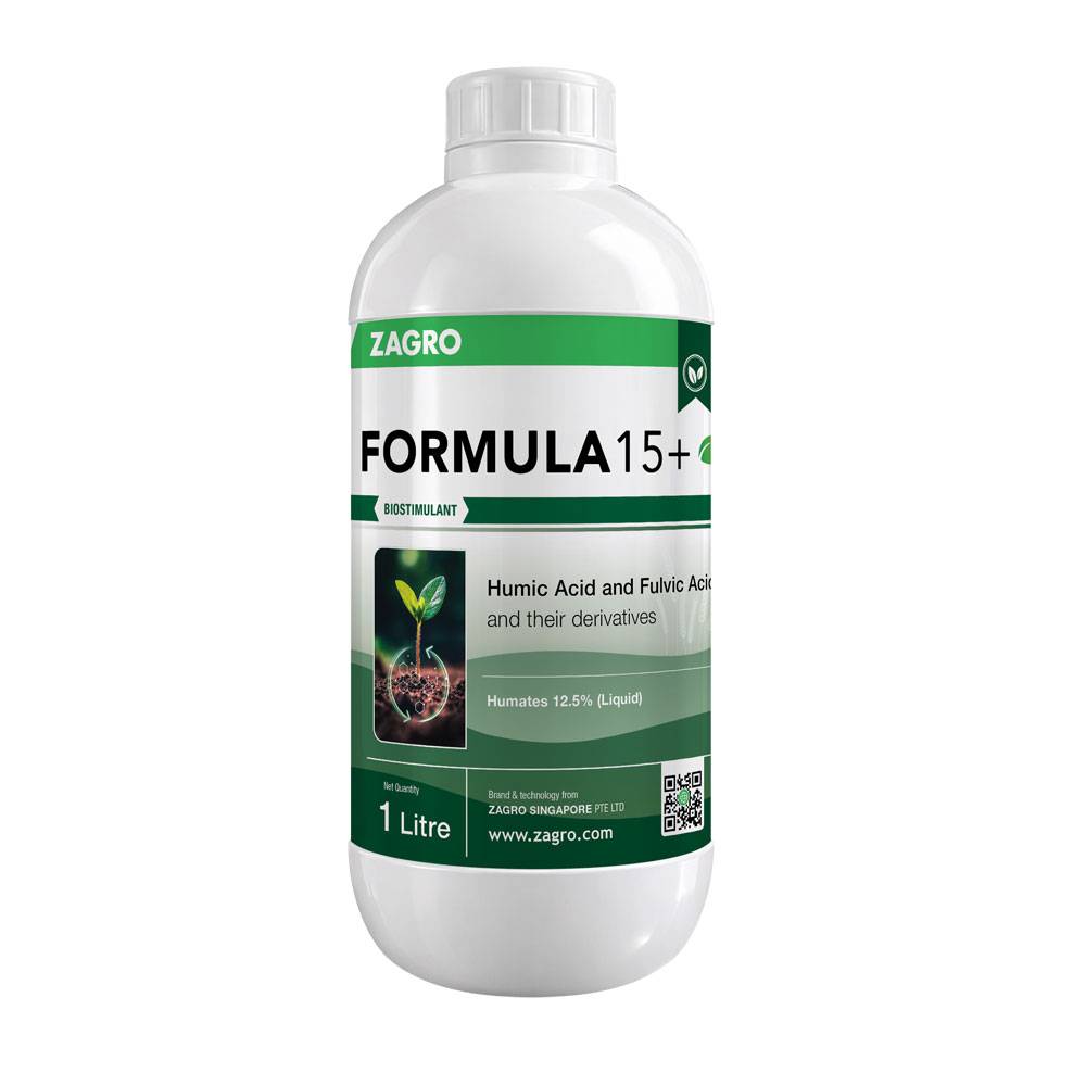 Formula 15+